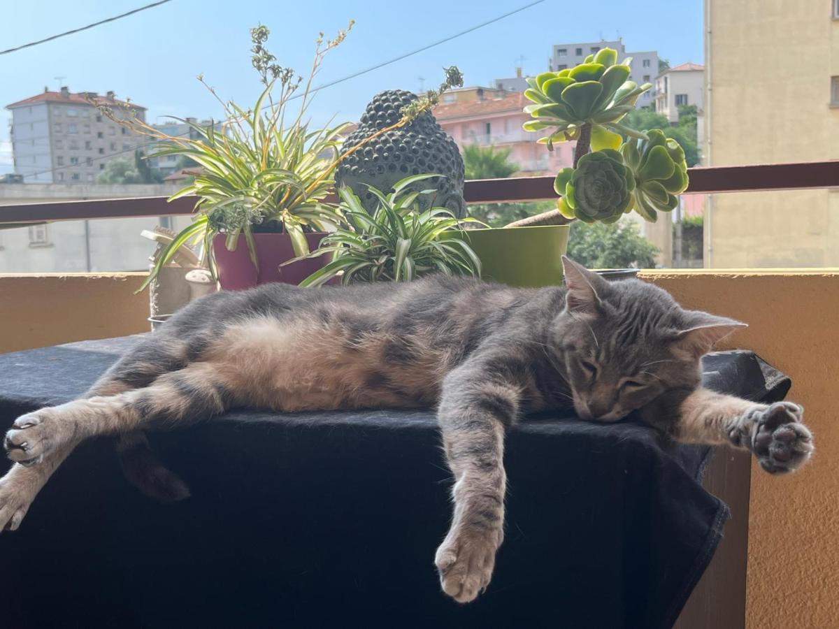 Apartament Pozzo Di Borgo Ajaccio  Zewnętrze zdjęcie